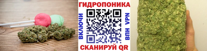 кракен tor  закладки  Кола  маркетплейс телеграм  Cannafood конопля 