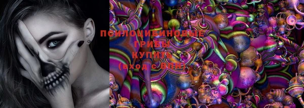 прущие крисы Дубовка