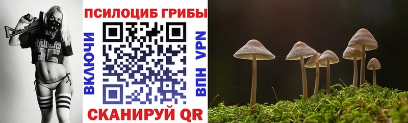 гидра зеркало  мориарти состав  Псилоцибиновые грибы прущие грибы  Кола 